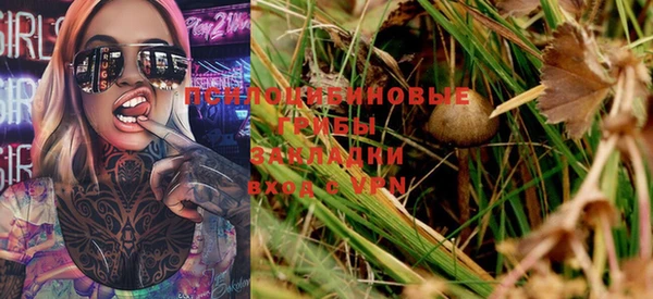 ГАЛЛЮЦИНОГЕННЫЕ ГРИБЫ Кинешма