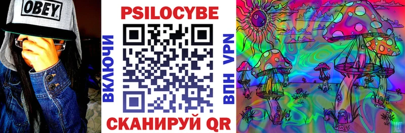 Галлюциногенные грибы мицелий  Купить закладки  Алексеевка 